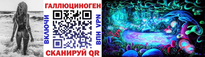 Псилоцибиновые грибы Psilocybine cubensis  Карабаш 