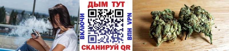 Бошки марихуана план  Карабаш 